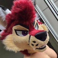 Pay (@paymetax) 's Twitter Profile