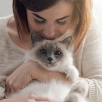 blackcats8007's profile picture. Animal advocate 
Sponsor of street cats