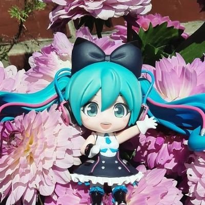 あねもん • マジカルミライ2025東京！さんのプロフィール画像