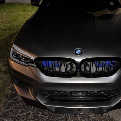 TrystNQ's profile picture. XAUUSD Trader