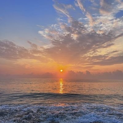 f1tr4h10's profile picture. 