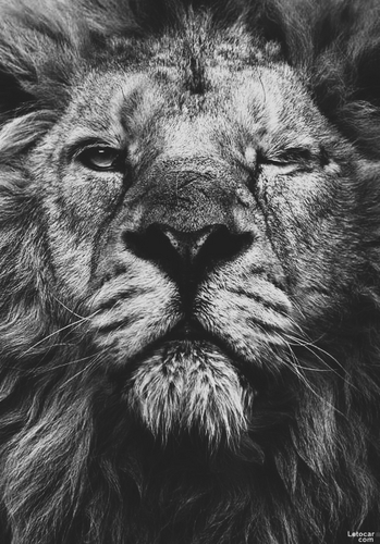You shall create a higher body, a movement, a self-propelled wheel.