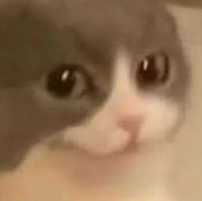 tttt0o2's profile picture. ❌⏰