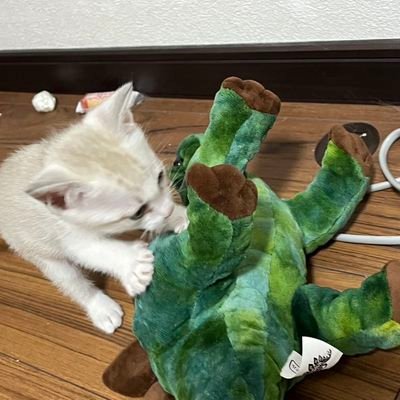 alfa15512271's profile picture. 特に無し
https://t.co/NfZcxYiwTs