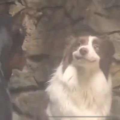 usualmizu's profile picture. fooled by randomness // ☀