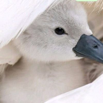 Julihartop34552's profile picture. 