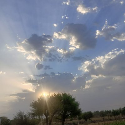 NeilS218426's profile picture. 🚲🚲🚲