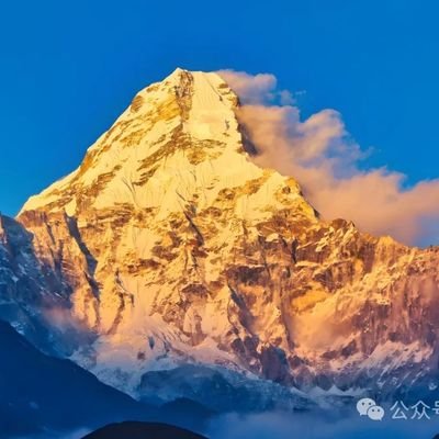 PiSidra525's profile picture. Interlink Labs官方大使ID:619208 致力于构建真实、可验证的人类网络社区–这是interlink官方社群https://t.co/YUFbe6X9a5