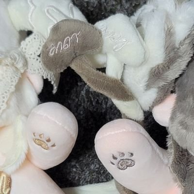 雑多、成人済、壁打ち、いいね・RP多
無言フォロー失礼します🙏F・Bご自由に
私も自由にします
(内容)無ぬい🧸、ガーデニング🌹、🐙🌟