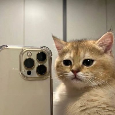 Eze_Kiel09's profile picture. I am just here for the memes 😎