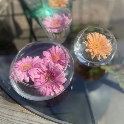 ma_miiik's profile picture. The path to becoming a web designer after 12 years as a nurse.