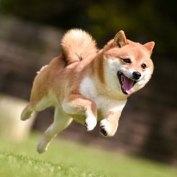 sestokyo's profile picture. 東京でSES営業やってます!案件紹介/要員紹介|ご質問や情報交換等のお問い合わせはDMにてお気軽にお願いいたします! #SES営業