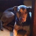 Helen Cool - @windbloc - Twitter