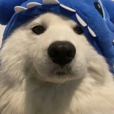 RHLMIU's profile picture. 19-181-75-43 长清