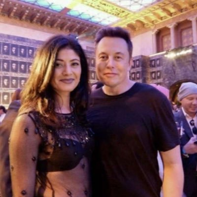 Protecting Elon Musk's online presence from impersonators is my top priority, leveraging my cybercrime expertise to safeguard his digital identity.