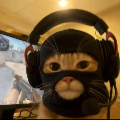 this account is safe for cat 三三ᕕ( ᐛ )ᕗ