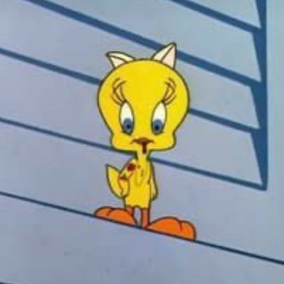 szynxx537's profile picture. 