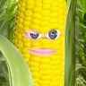 CORNdiff's profile picture. Scientists believe people living in central Mexico developed corn at least 7000 years ago. It was started from a wild grass called teosinte! Yess yesss