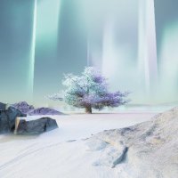 Nature of Crypto