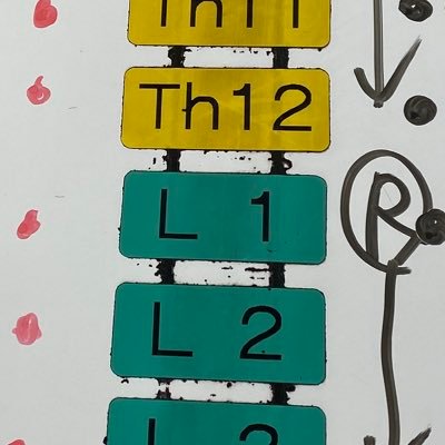 rryykkaayy's profile picture. 抜いたら立ってられへん骨の医者/愚痴多め/医学、英語、資産形成勉強用