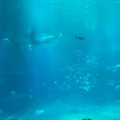 qwp_lsh7's profile picture. 雑多18↓ 絵を描いてる人です✍️ 絵柄は安定しません、めちゃくちゃ変わります。無言フォロー失礼します🙇‍♀️