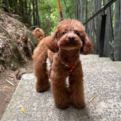 GOGO5O's profile picture. 楽しいこと大好き(^^)気軽につぶやいていきます(^-^)/ レアな情報もつぶやきます！