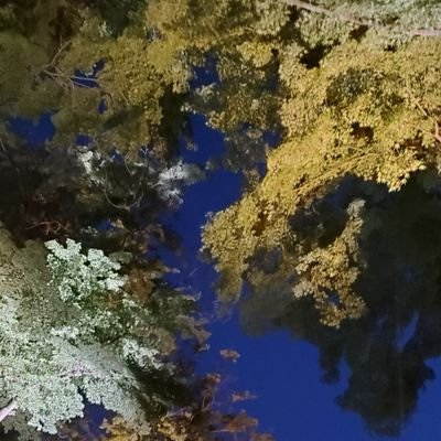 mtss_79's profile picture. 