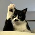Mymeowmeow ใครแคปมายมึงแต้ (@mmmmumuanother) Twitter profile photo Mymeowmeow ใครแคปมายมึงแต้ (@mmmmumuanother) Twitter profile photo