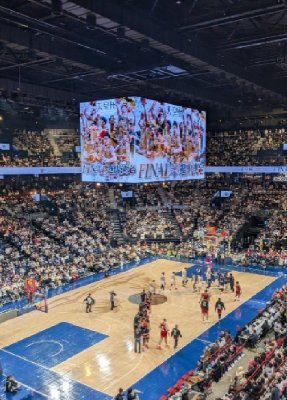 GraphHnz's profile picture. 琉球ゴールデンキングス、ゆるバスケ、データ整理、南の島