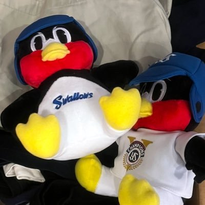 06♂医療系大学生🫠ヤクルト、島根スサノオマジック🫶#️⃣026高野🥳@pentya_guin06(←本体)