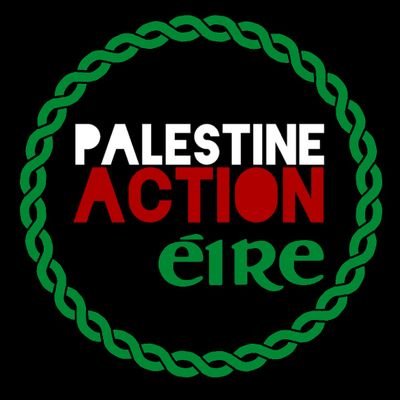 Palestine Action Éire Profile