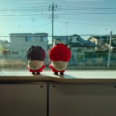 るる☆拡大オーダー☆ ブースターパック 異姫夢装編 運命の交わる刻 ｜ Z/X - Zillions