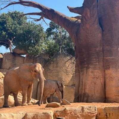 iamkentochan's profile picture. 