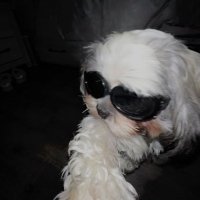 rø :) (@moonflicker) 's Twitter Profile