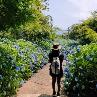 まりも│SHElikes受講中 (@mar1mooo0) 's Twitter Profile Photo まりも│SHElikes受講中 (@mar1mooo0) 's Twitter Profile Photo