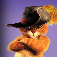 Mikael (@zmikaelxx) 's Twitter Profile