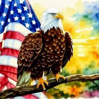 🇺🇸❤️ Ms. Kim Allen ❤️🇮🇱 (@kimnewbird) 's Twitter Profile