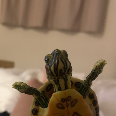 heiwalover1229's profile picture. 