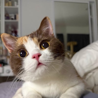 Punim_Alonelife's profile picture. 