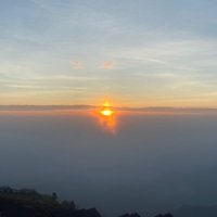 Atom1234 (@atom1234134297) 's Twitter Profile
