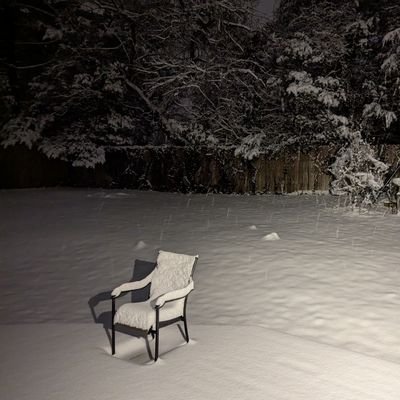 fronchimonch's profile picture. he/him

ICE is the new SS