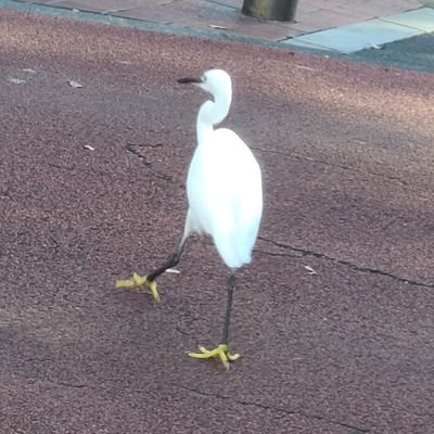 でぃごさんさんのプロフィール画像