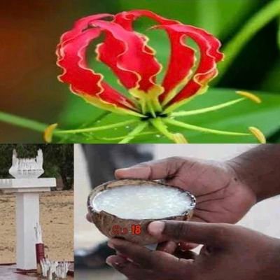 Bmohanraj25's profile picture. 