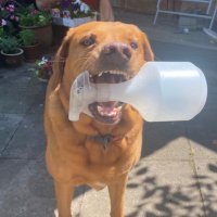 eddie (@videosquirrel94) 's Twitter Profile