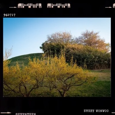 toodayisbluue's profile picture. Always private. 21+