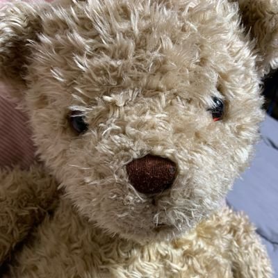 monaughtilt's profile picture. 