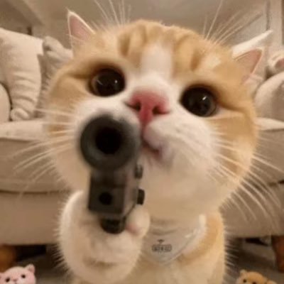 小牛