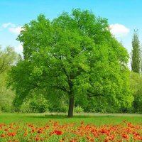 همسات دعوية (@mutazz9959) 's Twitter Profile