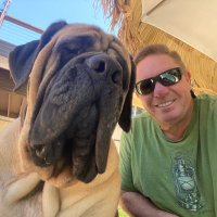 Mastiff Guy (@mastiffguy) 's Twitter Profile Photo Mastiff Guy (@mastiffguy) 's Twitter Profile Photo