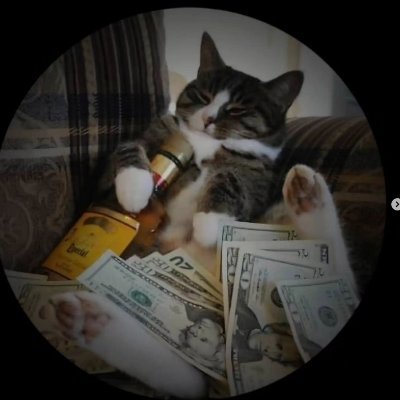 insaney0's profile picture. 